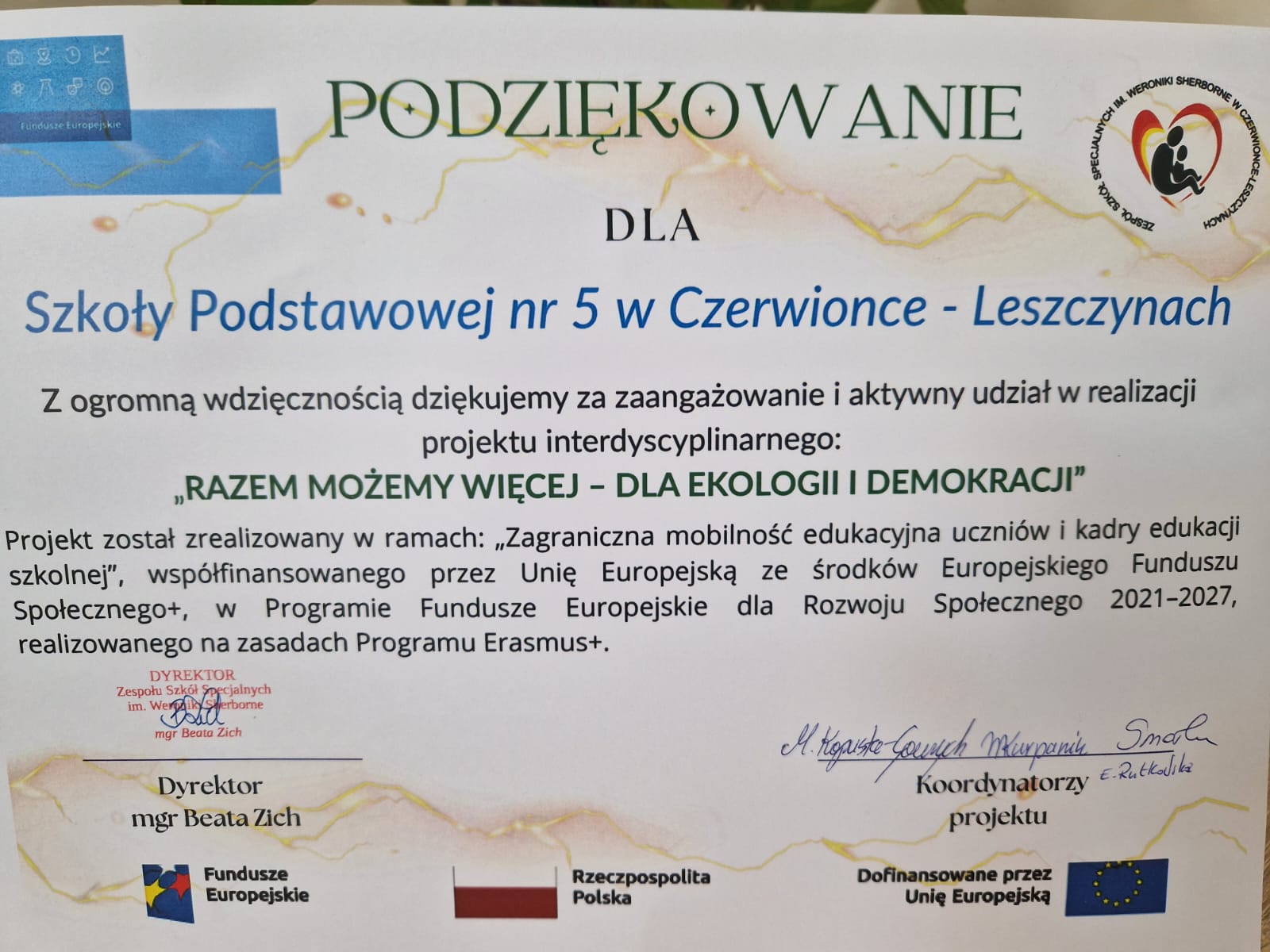 Dyplom - podziękowanie